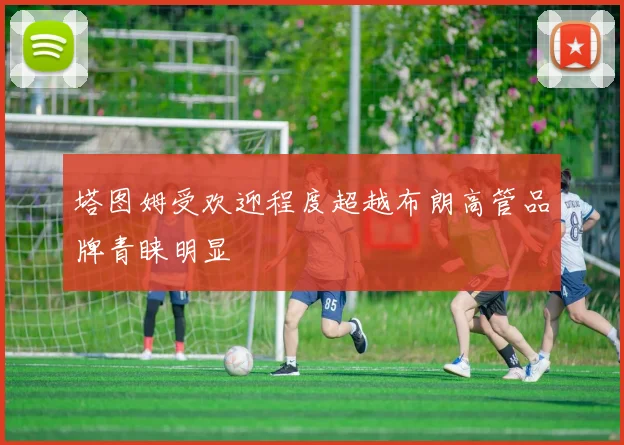 塔图姆受欢迎程度超越布朗高管品牌青睐明显
